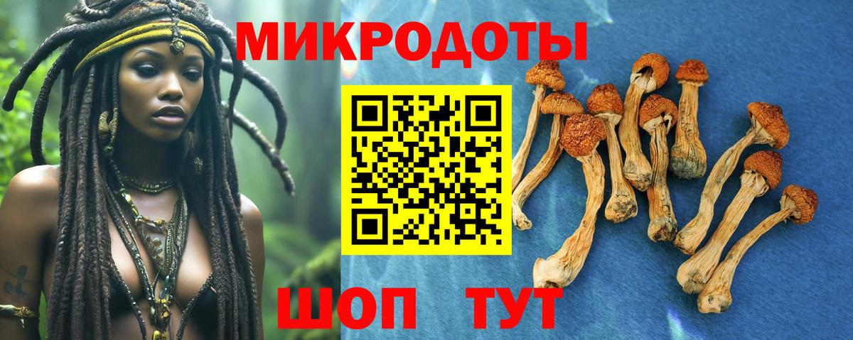 Псилоцибиновые грибы ЛСД Киселёвск